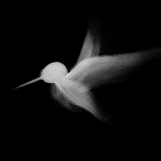 Hummingbird Creative LLC Logo White